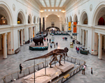 Field Museum hall