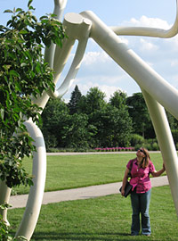 A new member explores the Steel Roots at Morton Arboretum during at a CMEG meeting at a CMEG meeting