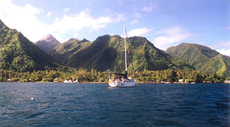 Bula and Tahiti