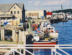 Maine scene