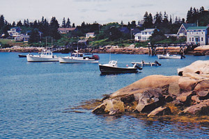 Maine's rocky coast
